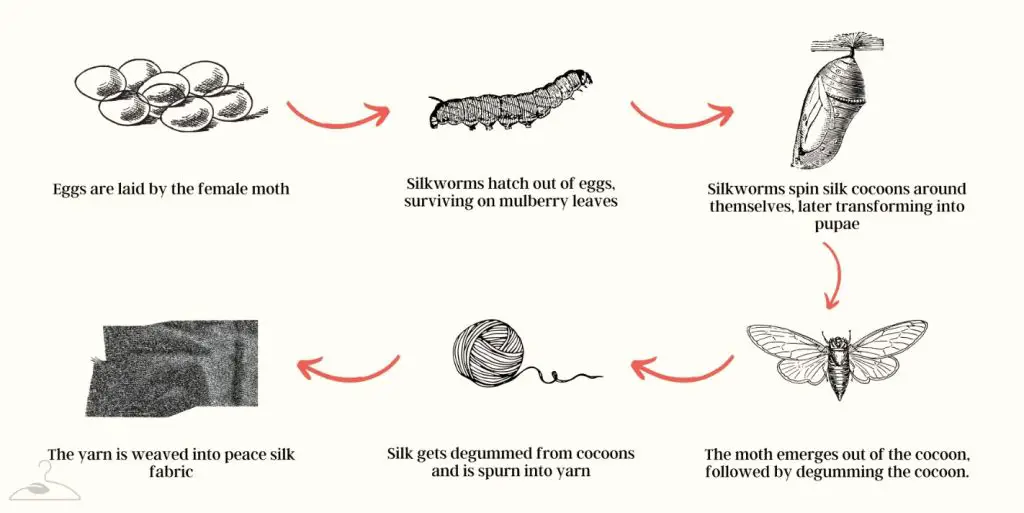 Peace Silk 101: History, Ethicality, And More - My Eco Closet