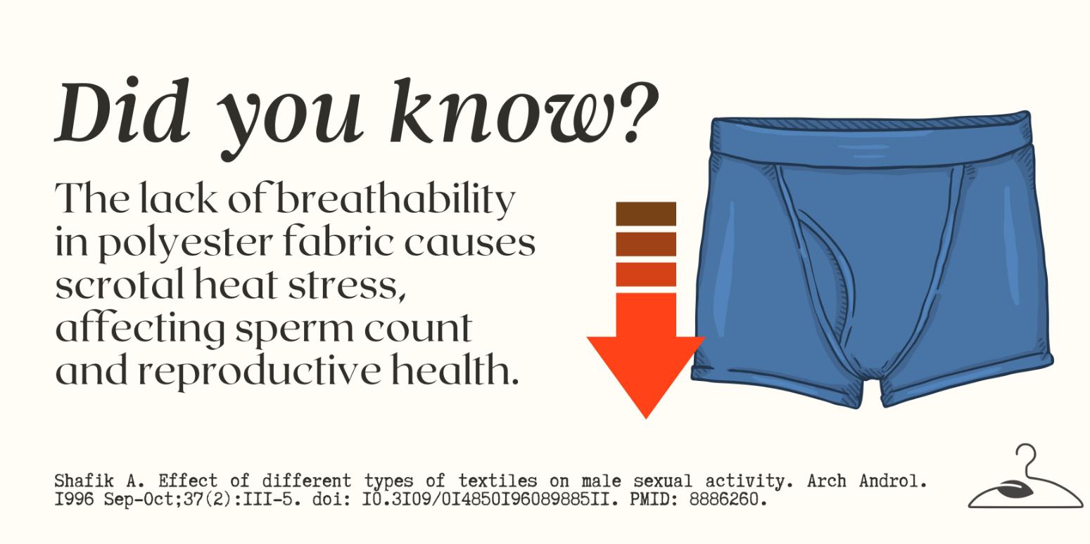 Polyester Underwear & Testosterone The Shocking Truth My Eco Closet