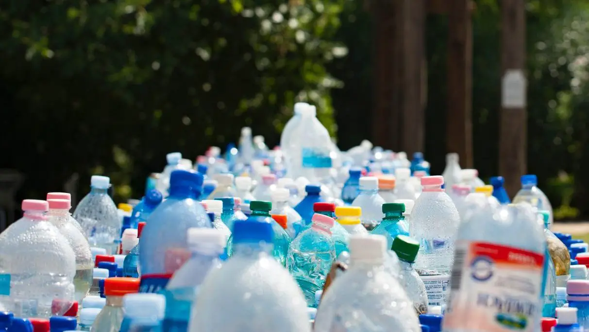 the use of rPET in polyester vs recycled polyester
