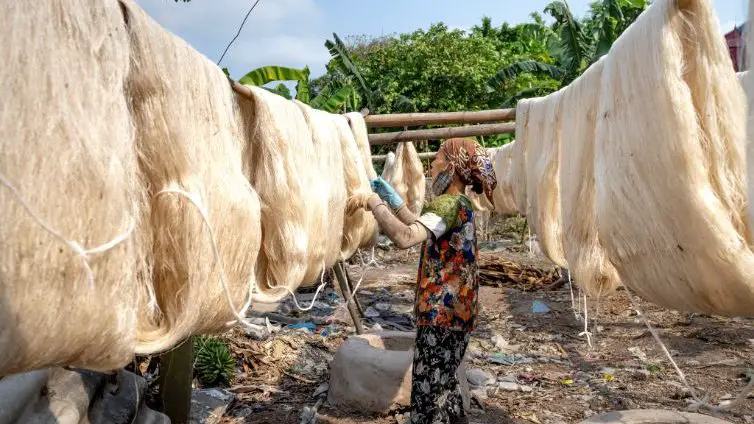 peace silk production stage, where yarns get transformed into the fabric